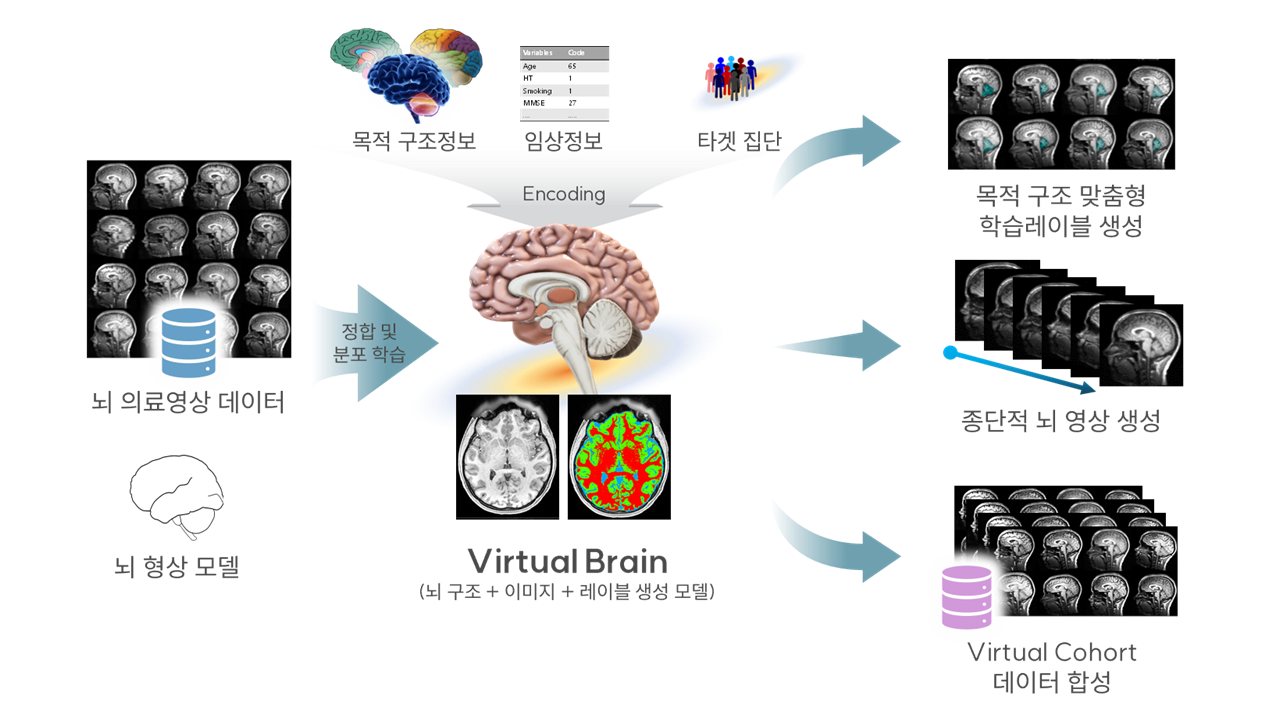 Brain Imaging
