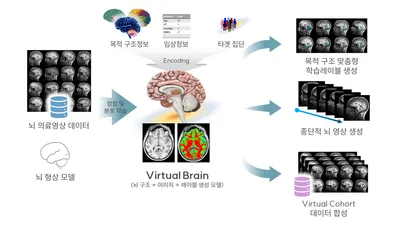 Brain Imaging